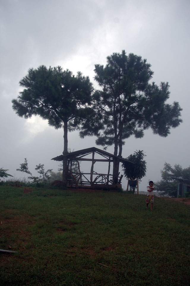 Hill Tribe view