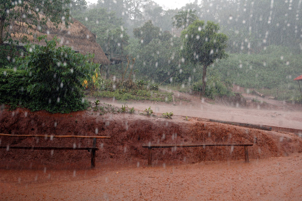 Rain