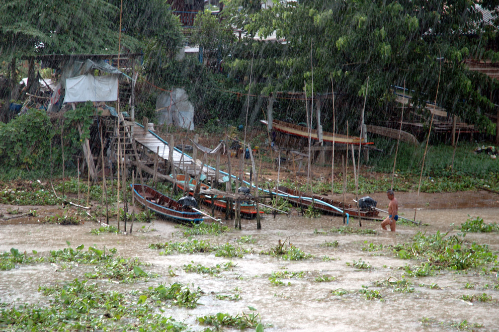 Chao Phraya River Bank